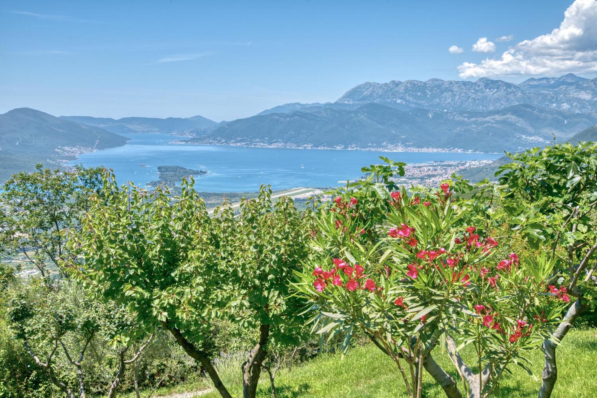 Apartment Paradise Kotor Buitenkant foto