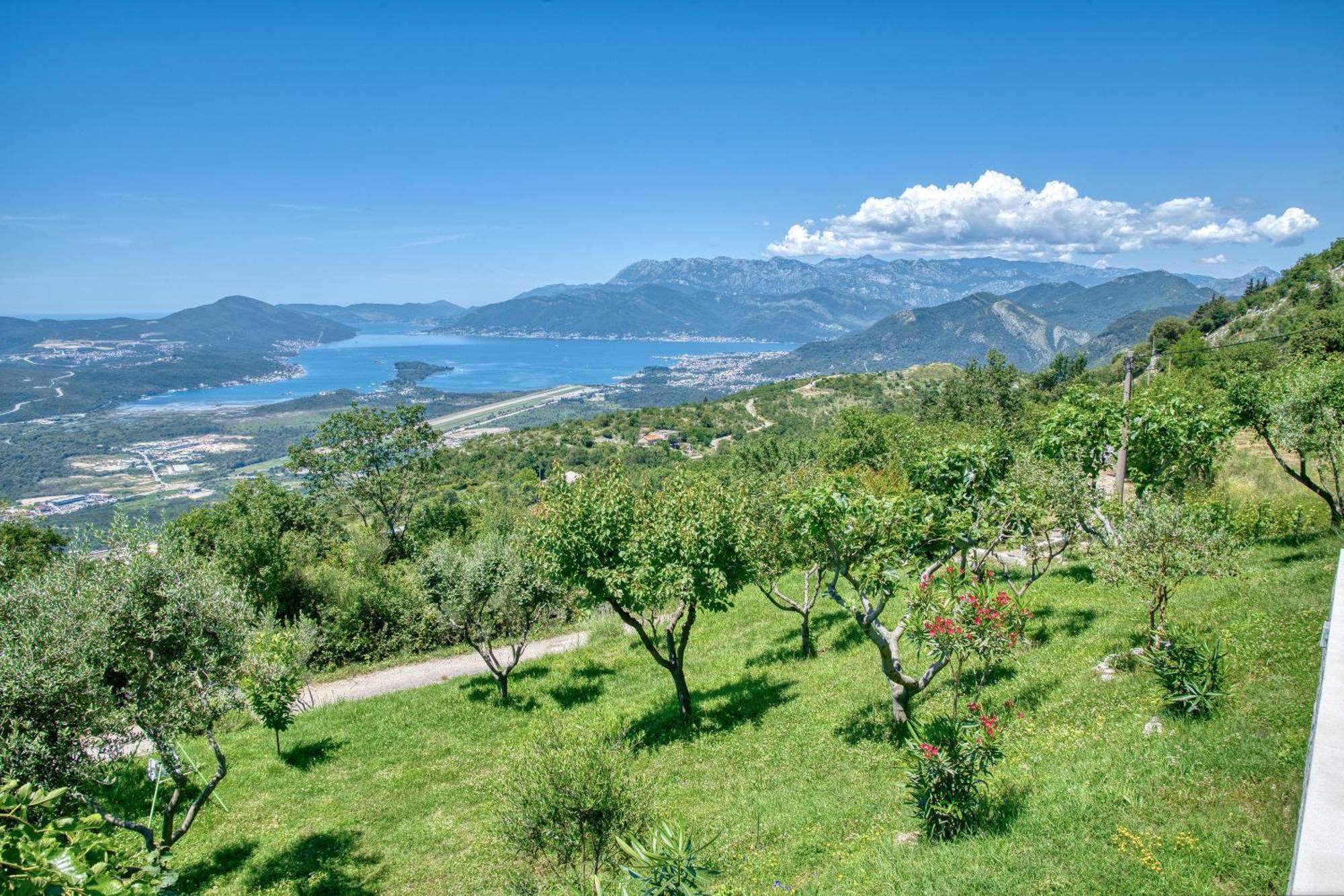 Apartment Paradise Kotor Buitenkant foto